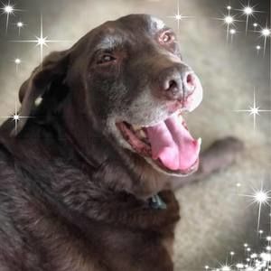 Meet your Posher, Randi